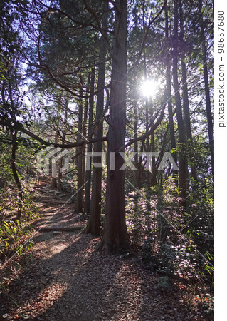 湖西山脈遠足路線的看法 98657680