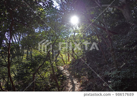 湖西山脈遠足路線的看法 湖西山脈遠足路線的看法 98657689