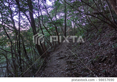 湖西山脈遠足路線的看法 湖西山脈遠足路線的看法 98657690