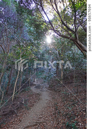 湖西山脈遠足路線的看法 湖西山脈遠足路線的看法 98657694