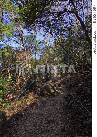 View of the Kosai mountain range hiking course View of the Kosai mountain range hiking course 98657697