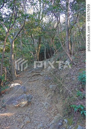 View of the Kosai mountain range hiking course View of the Kosai mountain range hiking course 98657699