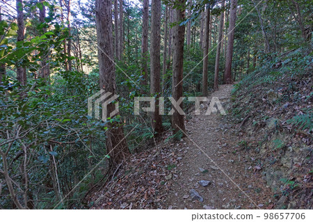 湖西山脈遠足路線的看法 湖西山脈遠足路線的看法 98657706