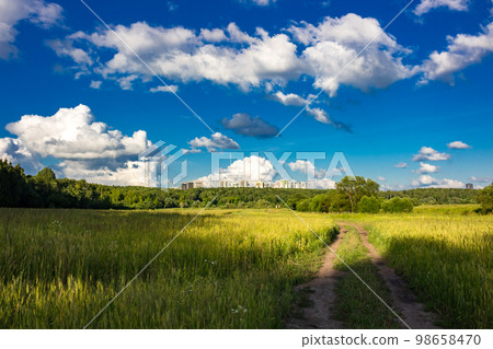 Beautiful landscape of fields and city building in the distance Beautiful landscape of fields and city building in the distance 98658470