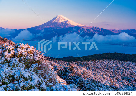(Shizuoka Prefecture) Mt. Fuji seen from the snowy Mt. Daruma plateau (Shizuoka Prefecture) Mt. Fuji seen from the snowy Mt. Daruma plateau 98659924