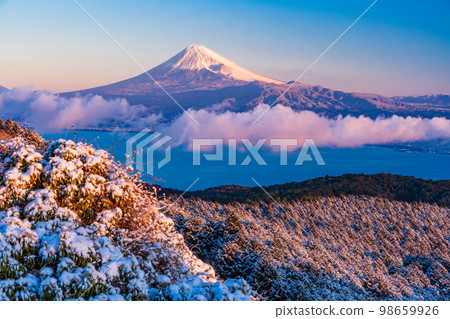 (Shizuoka Prefecture) Mt. Fuji seen from the snow-covered Mt. (Shizuoka Prefecture) Mt. Fuji seen from the snow-covered Mt. 98659926