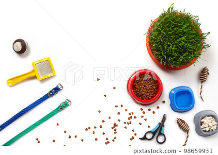 Flat lay composition with accessories for a cat isolated on white background. Pet care. 98659931