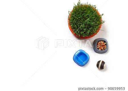 Flat lay composition with accessories for a cat isolated on white background. Pet care. Flat lay composition with accessories for a cat isolated on white background. Pet care. 98659953