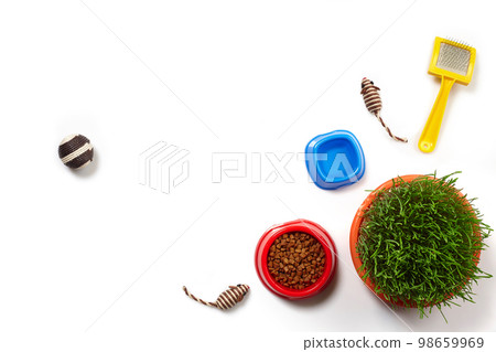 Flat lay composition with accessories for a cat isolated on white background. Pet care. 98659969