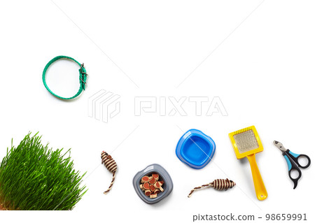 Flat lay composition with accessories for a cat isolated on white background. Pet care. Flat lay composition with accessories for a cat isolated on white background. Pet care. 98659991