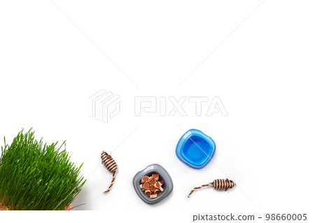 Flat lay composition with accessories for a cat isolated on white background. Pet care. 98660005