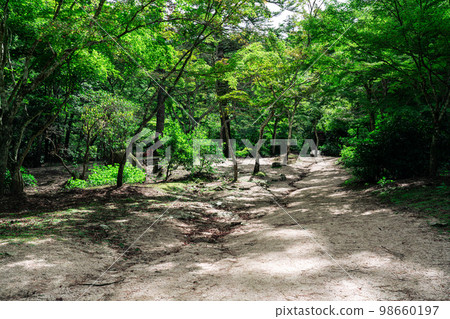 [World Heritage Itsukushima Shrine] Momijidani Park in early autumn, Hatsukaichi City, Hiroshima Prefecture 98660197