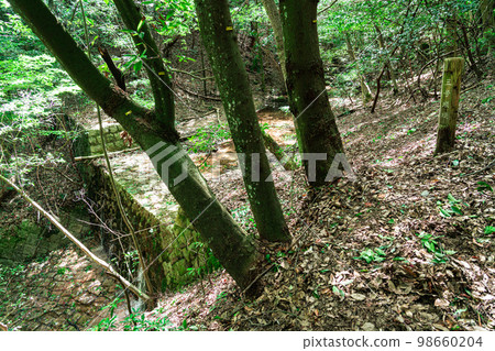 [World Heritage Itsukushima Shrine] Momiji Tanigawa Garden Erosion Control Facility 4, Nationally Designated Important Cultural Property, Hatsukaichi City, Hiroshima Prefecture 98660204