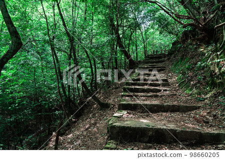 [World Heritage Itsukushima Shrine] Mt. 98660205