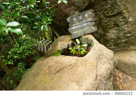 [World Heritage Itsukushima Shrine] Tidal rock on top of Mt. Misen, Hatsukaichi City, Hiroshima Prefecture 98660252