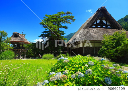 [Gifu Prefecture] Shirakawa-go under the clear sky, Myozenji 98660309
