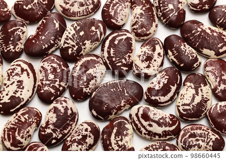 Gallophone beans (pintat) Gallophone beans (pintat) 98660445