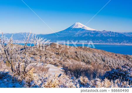 (Shizuoka Prefecture) Mt. Fuji seen from the snow-covered Mt. 98660490