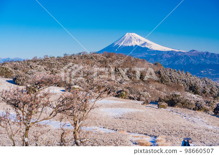(靜岡縣)從白雪皚皚的富士山看到的富士山。 (靜岡縣)從白雪皚皚的富士山看到的富士山。 98660507