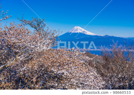 （靜岡縣）從白雪皚皚的富士山看到的富士山。 98660533