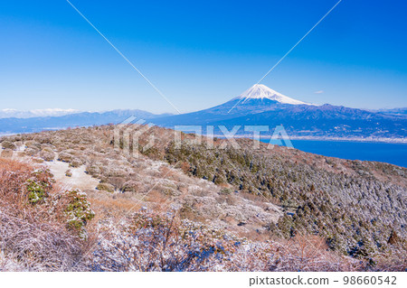 (Shizuoka Prefecture) Mt. Fuji seen from the snow-covered Mt. 98660542