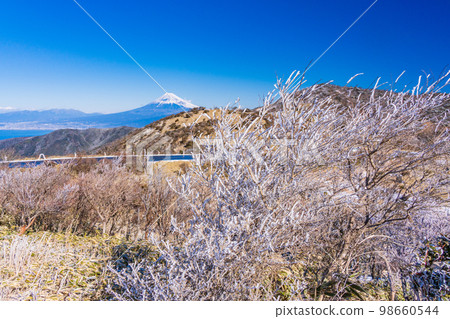 (Shizuoka Prefecture) Mt. Fuji seen from the snow-covered Mt. 98660544