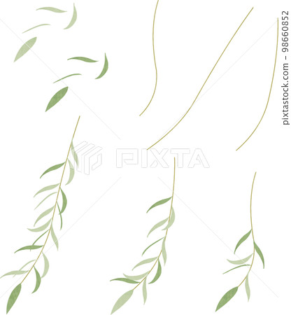 柳樹插圖 98660852