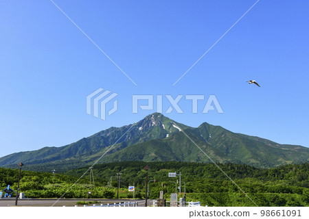 北海道利iri島利iri山 98661091