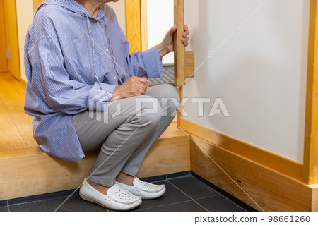 Senior entrance handrail 98661260