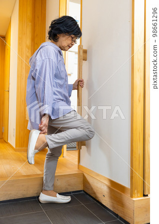 Senior entrance handrail 98661296