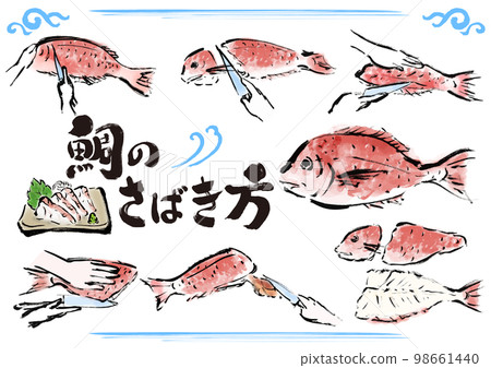 How to clean a sea bream Procedure for cleaning a fish Hand-drawn Japanese-style illustration set How to clean a sea bream Procedure for cleaning a fish Hand-drawn Japanese-style illustration set 98661440