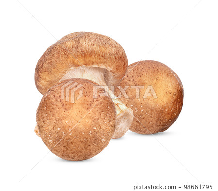 Fresh Shiitake mushroom isolated on white background Fresh Shiitake mushroom isolated on white background 98661795