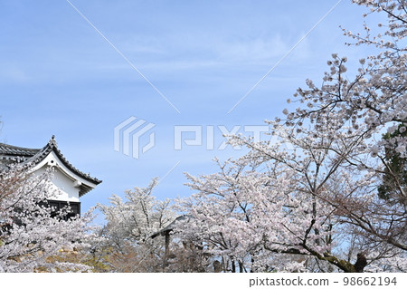 國寶犬山城 98662194