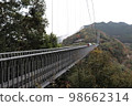 宮崎縣綾町全長250m的綾照羽吊橋(2) 98662314