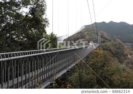 250m long Ayateruha Suspension Bridge in Aya Town, Miyazaki Prefecture (2) 98662314