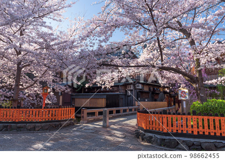 Kyoto Gion Shirakawa Tatsumi Bridge with cherry blossoms in full bloom 98662455