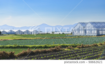 Country landscape 98662621