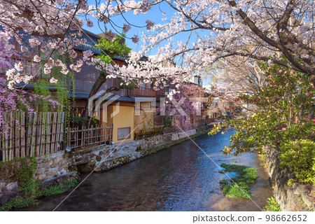 Kyoto Gion Shirakawa Spring Shirakawa seen from Tatsumi Bridge Kyoto Gion Shirakawa Spring Shirakawa seen from Tatsumi Bridge 98662652