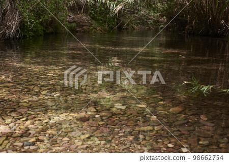 Crystal clear lake surrounded by greenery Crystal clear lake surrounded by greenery 98662754