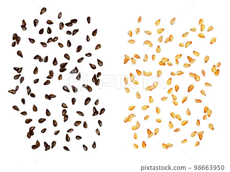 白芝麻 黑芝麻 98663950