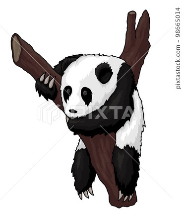 Clip art with colorful cartoon panda on the tree Clip art with colorful cartoon panda on the tree 98665014