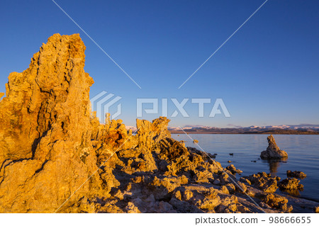 Mono lake Mono lake 98666655