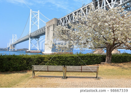 [香川縣]從櫻花盛開的瀨戶大橋紀念公園看到春天的“瀨戶大橋” 98667339