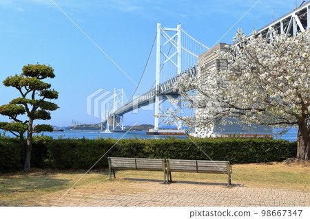 [香川縣]從櫻花盛開的瀨戶大橋紀念公園看到春天的“瀨戶大橋” 98667347