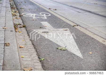 fallen leaves on narrow asphalt road for cyclists fallen leaves on narrow asphalt road for cyclists 98667463