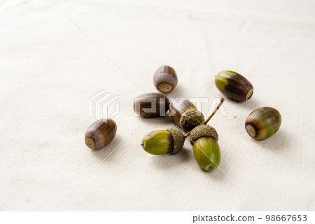 Acorn with a hat Acorn with a hat 98667653