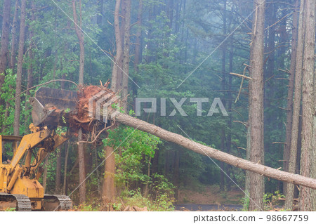During construction process tractor skid steers were used to uproot trees and clear land for subdivision development using tractor skid steers. During construction process tractor skid steers were used to uproot trees and clear land for subdivision development using tractor skid steers. 98667759