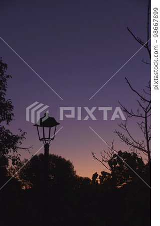 Lamppost, turned off at dusk Lamppost, turned off at dusk 98667899