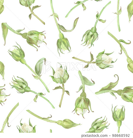 Seamless pattern of white roses buds. Watercolor botanical illustration. Isolated on a white background. Hand painting floral print in vintage style. For design of wrapping paper, wallpaper, fabrics Seamless pattern of white roses buds. Watercolor botanical illustration. Isolated on a white background. Hand painting floral print in vintage style. For design of wrapping paper, wallpaper, fabrics 98668592