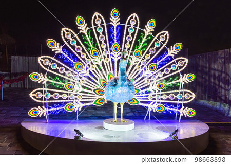 luminous peacock sculpture at night in the logo park 98668898